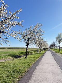 Photo de Roman Mödlhammer le long du parcours