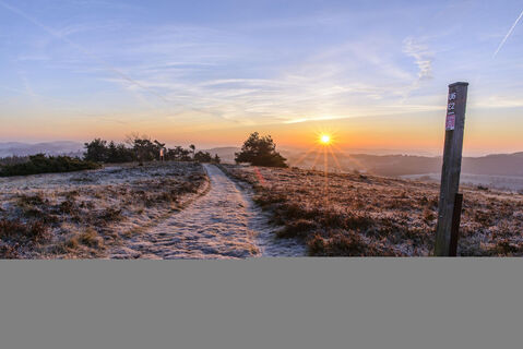Raureif am Osterkopf bei Sonnenaufgang