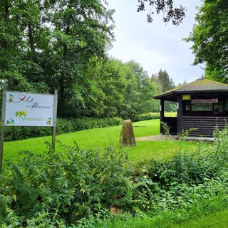 Tretbecken und Rastplatz Glindfeld