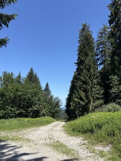 Foto von Heinz Sperl entlang der Tour