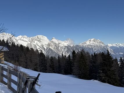 Foto von Grizzli entlang der Tour