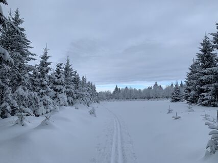 Foto von Kay Erler entlang der Tour