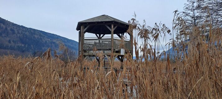 Foto von Glanzer Julius entlang der Tour