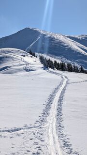 Foto från Klaus Lehner under resans gång
