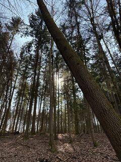 Foto de Christian Schindlbeck a lo largo del recorrido