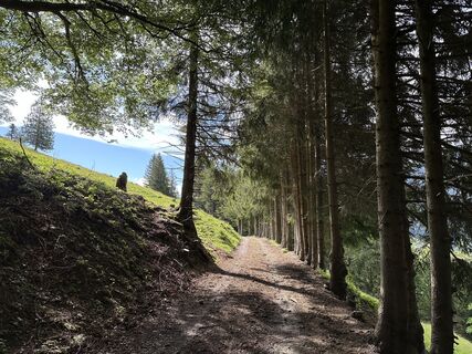 Fotografia z justasimpleguy na trase