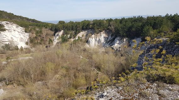 Fotografia z Bernard na trase