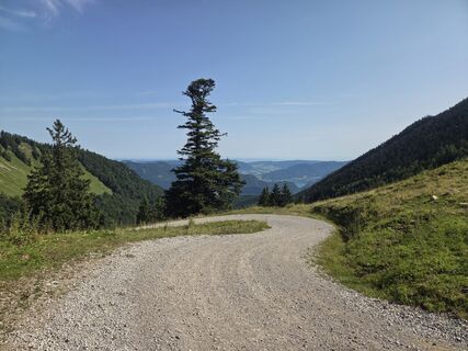 Fotografia z P Feichtenschlager na trase