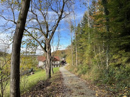 Foto von Helix entlang der Tour