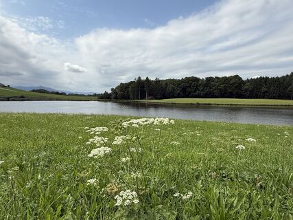 Foto de Barbara Schober a lo largo del recorrido