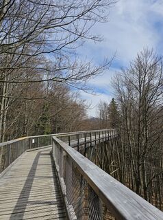 Foto von Pauline Lissek entlang der Tour