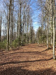 Foto de Marcel Pätzold a lo largo del recorrido
