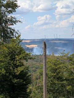 Photo de twuest le long du parcours