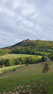 Photo de Anne Wildbrett le long du parcours
