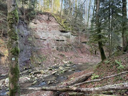 Photo de Norbert Herbig le long du parcours