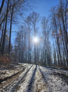 Fotografie z Birgit Poettler na trase