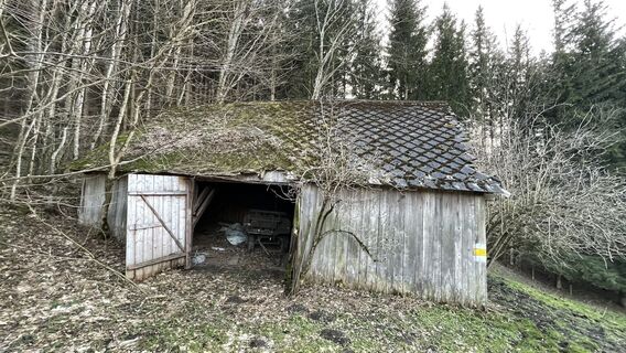 Fotografija s spletne strani Peter Dirlinger na poti