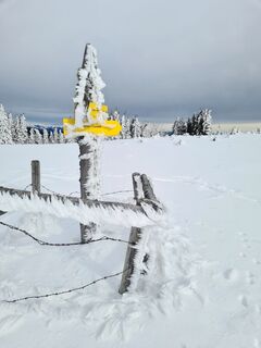 Foto van Eva Berdau langs de tour