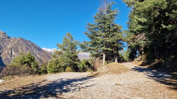 Photo de Fabrizi Mellano le long du parcours