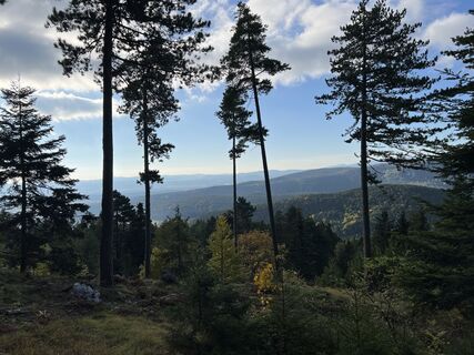 Fotografia z Jozsef Derenyi na trase