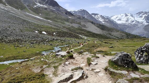 Zdjęcie z Andreas Schlosser wzdłuż trasy