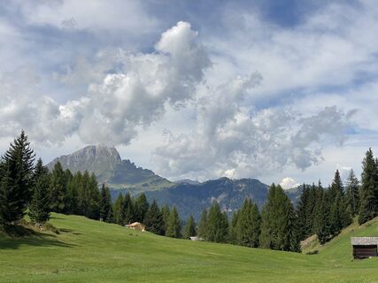 Foto von Dagmar Gaertner entlang der Tour