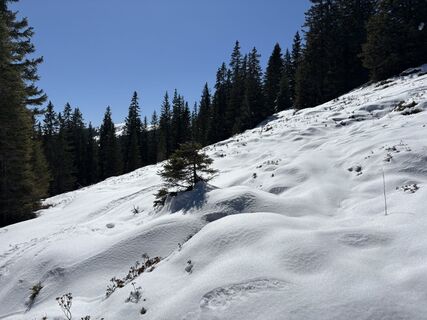 Zdjęcie z hubertmei wzdłuż trasy