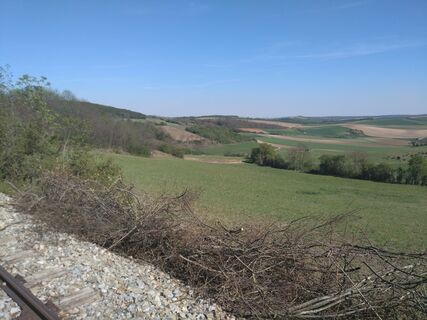 Blick von der Draisinenalm