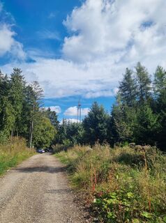Photo de Volker Wagener le long du parcours