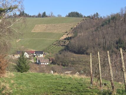 Foto von Michel Kennel entlang der Tour
