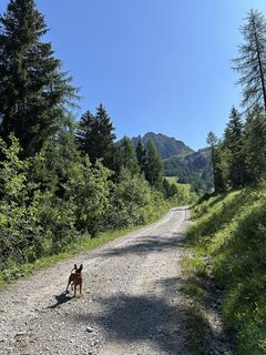 Fotografija s spletne strani tjiong na poti