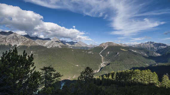 Im Abstieg vom Murtersattel dominiert der Munt la Schera vor uns. Wir tauchen zuerst ein in den Legföhrengürtel, dann in einen reinen Lärchen- und schliesslich in einen Arven-Lärchenwald.