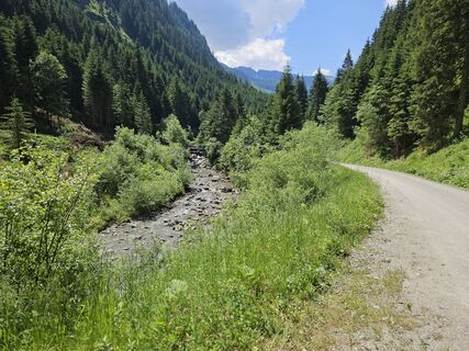 Foto de Michał K a lo largo del recorrido