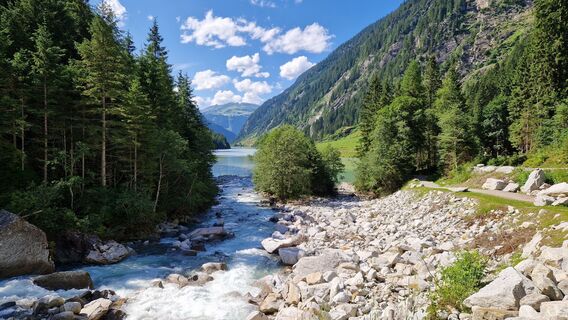Fotografia z Gerrit van der Linde na trase