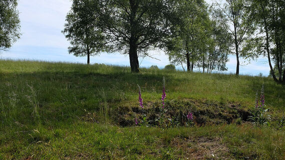 Die Trupbacher Heide bietet eine ungewöhnliche Natur und viele Aussichtspunkte zum Verweilen