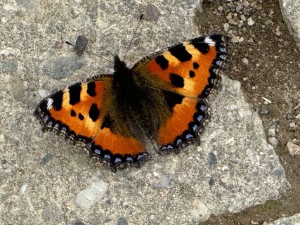 Photo de Norbert Herbig le long du parcours