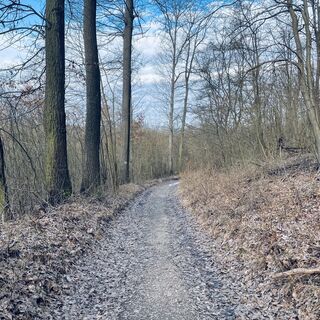 Foto de Bacskai János a lo largo del recorrido