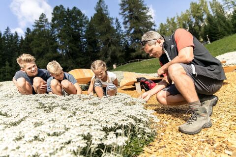 WunderWanderWeg