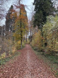Fotó a ManCam honlapról a túra során