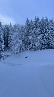 Foto von Józef Kulpa entlang der Tour