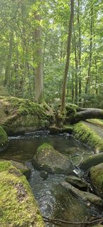 Foto von Zsuzsa Szàntó entlang der Tour