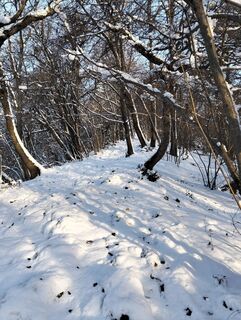 Foto de Daniele Berini a lo largo del recorrido