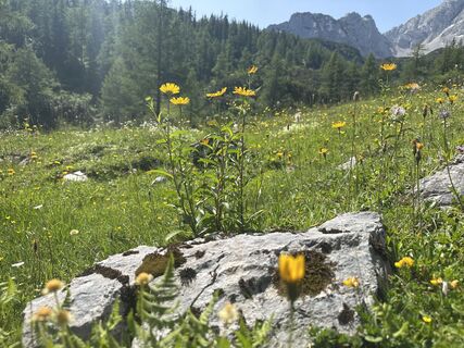 Фото с сайта Dani Geiger / Natur_erleben_dg во время экскурсии