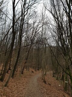 Fotografie z Georg B. Meier na trase