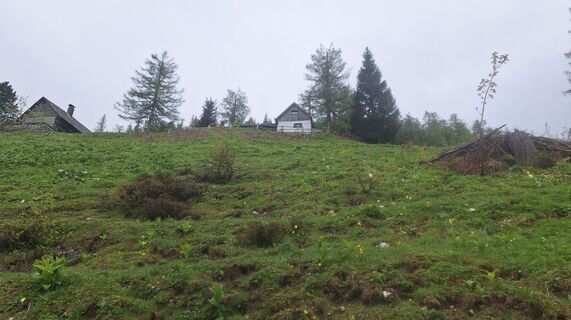 Fotografija s spletne strani Regina Fleischmann na poti