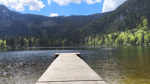 Fotografia z WilliSt na trase