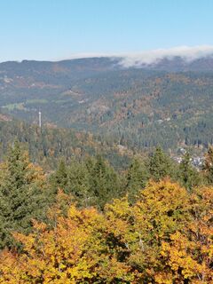 Foto fra Albert Seitz undervejs på turen