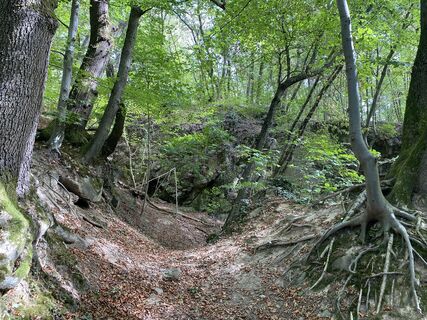 Fotografie z Hans-Martin Kühn na trase