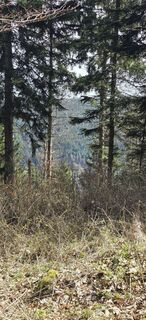 Fotografija s spletne strani Mel 9 na poti