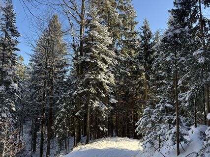 Foto de Norbert Herbig a lo largo del recorrido